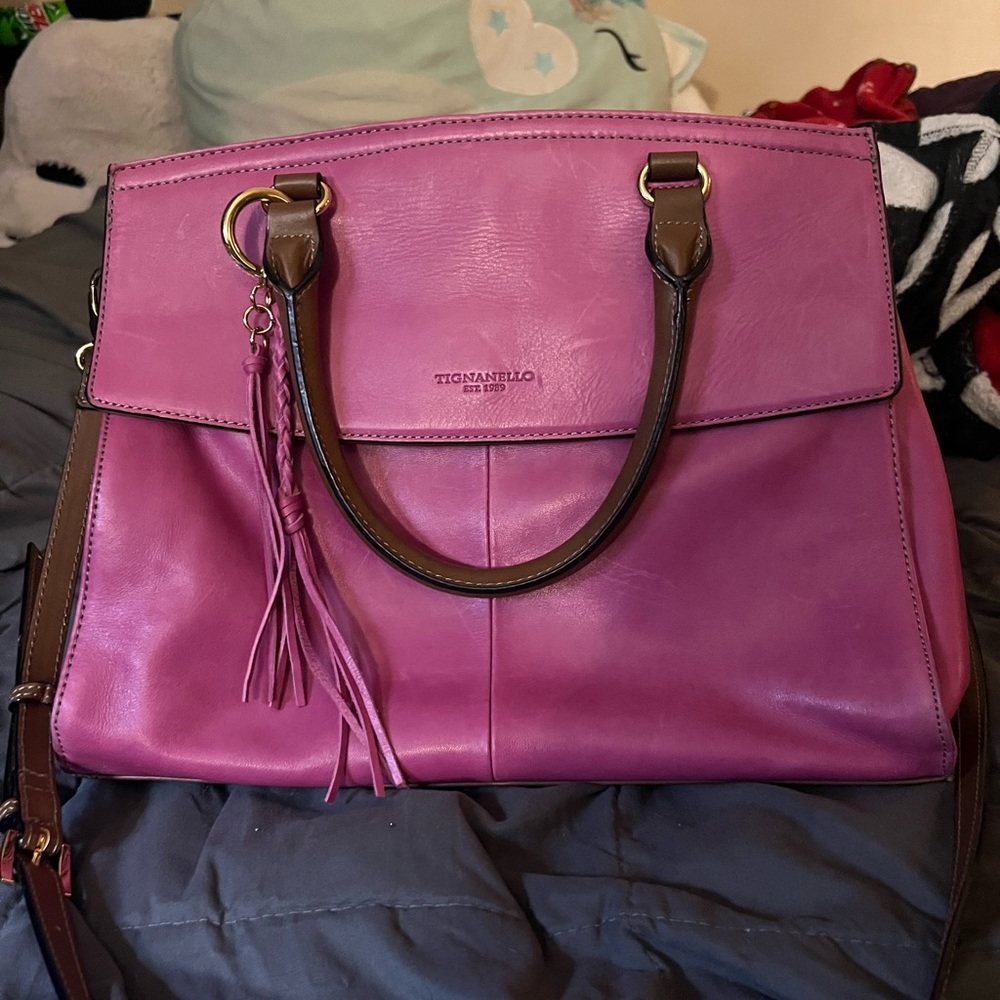 Tignanello Carson Satchel